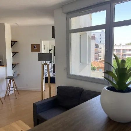 Apartment Le Fer A Cheval : T2 Proche Saint Cyprien *